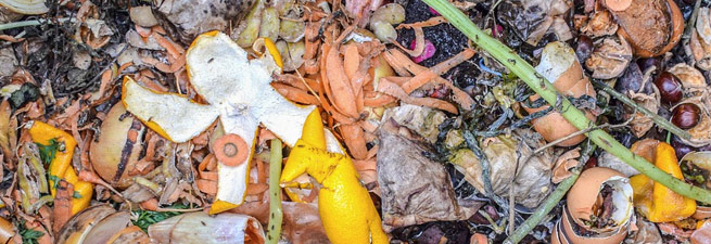 Organic waste