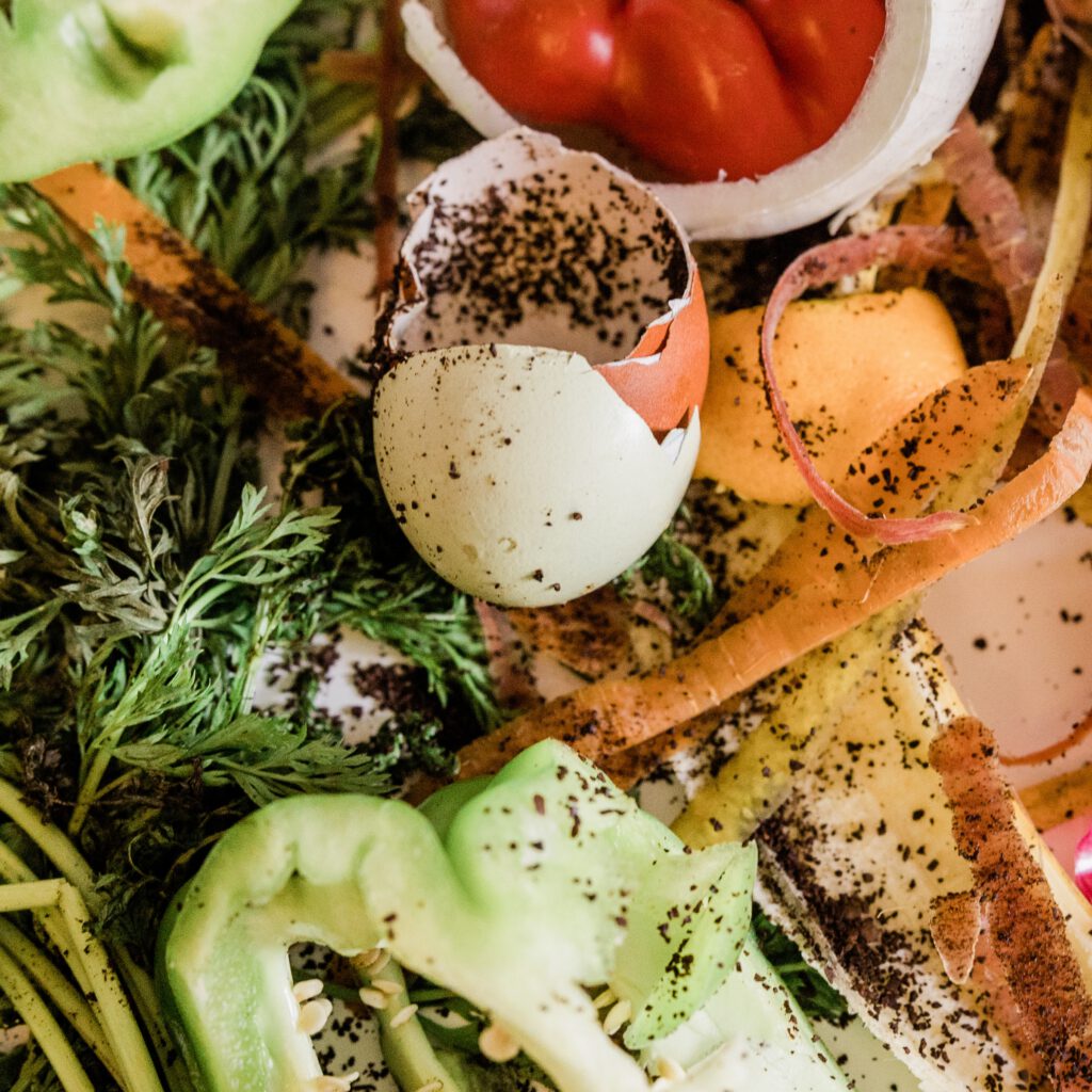 Mixed food scraps including eggshell, vegetable peelings, tomato, green pepper, and coffee grounds ready for OSCA composter, demonstrating organic waste suitable for sustainable composting and circular economy processing