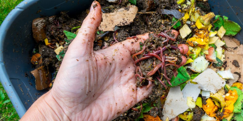 Hand holding rich compost soil with earthworms above composter bin containing decomposing organic materials, demonstrating the natural composting process and circular economy principles used in OSCA's sustainable waste management systems